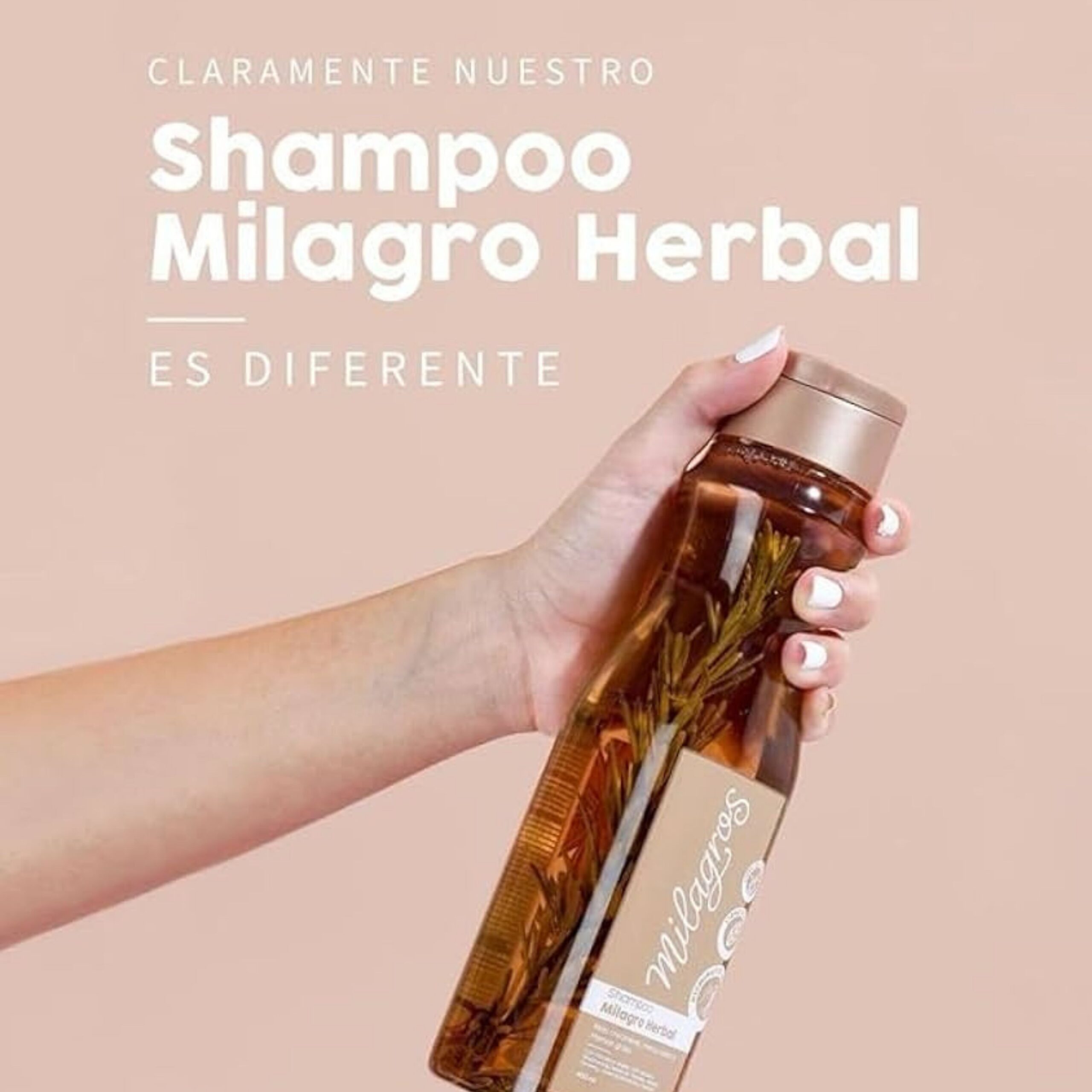 Milagros Champú y Acondicionador Herbal - Romero, Jengibre y Arroz 100% natural | Combate la caída del cabello y promueve su crecimiento. - Imagen 4